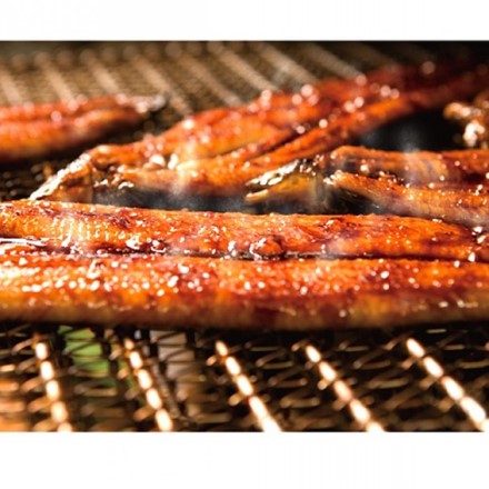 高知県 四万十うなぎ 蒲焼 110 x 2本セット