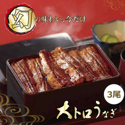 小松園 幻の大トロうなぎ 3人前 約160g x 3尾