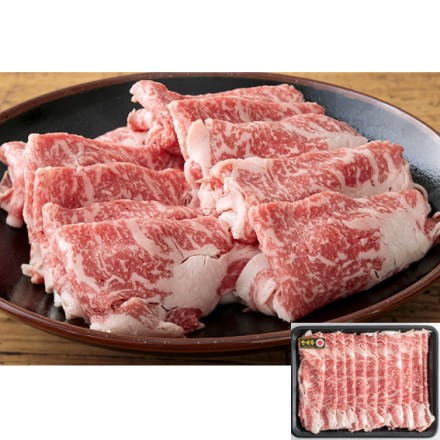 肉の野上 宮崎牛Ａ4等級以上 ローススライス 500g