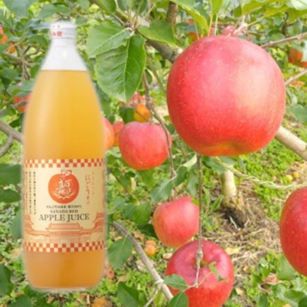 長野県産 真田RED アップルジュース 1000ml×1本 ギフト箱