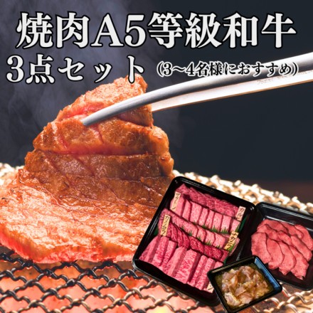 やまさきの焼肉 九州A５和牛焼肉セット 3～4名 約800g