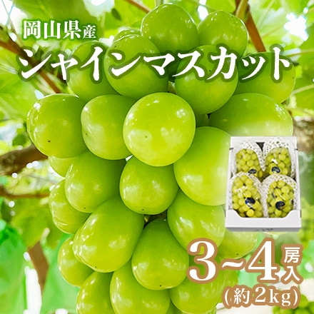 【10月上旬以降順次発送】 岡山県産 シャインマスカット 家庭用 約500～700g 3～4房入 約2kg