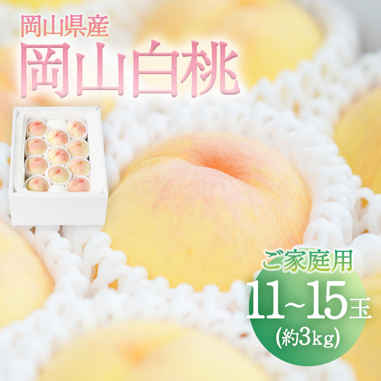 岡山県産 白桃 ご家庭用 11～15玉入り 約3kg