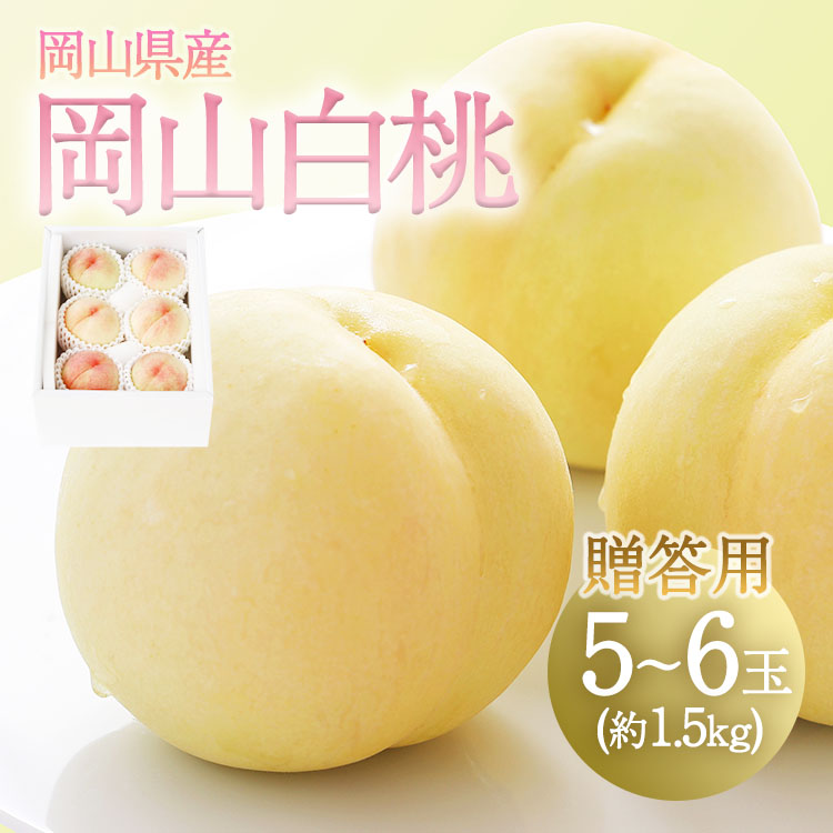 岡山県産 白桃 贈答用 5～6玉入り 約1.5kg
