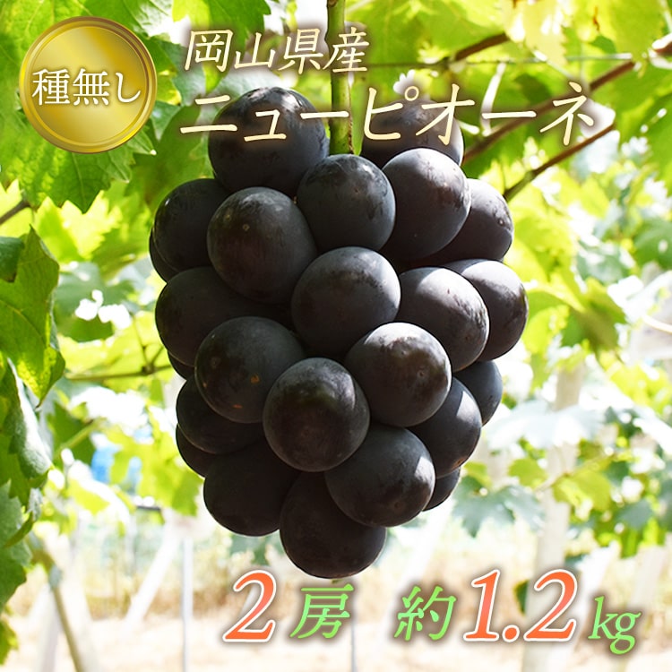 岡山県産 ピオーネ 約600g 2房