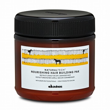 ダヴィネス ナチュラルテック ヘアパック＜N＞ 250ml