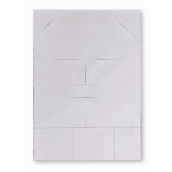 コラーゲンシート コラーゲンシートA4サイズ　5枚入