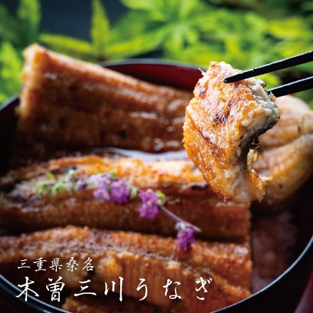 木曽三川 活うなぎ 特大 蒲焼き 2尾セット 180g～220g×2尾 2～3人前