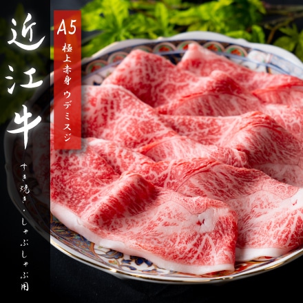 日本三大和牛 近江牛 A5 すき焼き しゃぶしゃぶ用 600g (3～4人前) ウデミスジ