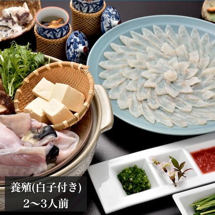 養殖 豊後とらふぐ料理セット白子付き 2-3人前