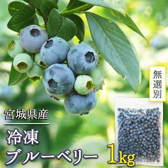 訳あり 無選別 冷凍ブルーベリー 宮城県産 1kg