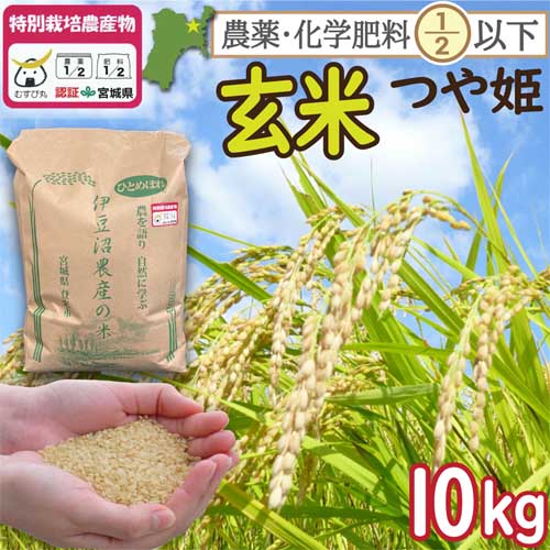 新米 玄米 宮城県登米市産 特別栽培米つや姫 10kg 一等米 （宮城県認証 農薬・化学肥料節減米） 令和7年産