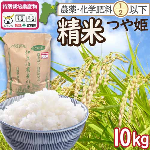 新米 白米 宮城県登米市産 特別栽培米 つや姫 10kg 一等米 精米 （宮城県認証 農薬・化学肥料節減米） 令和7年産