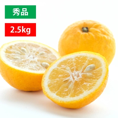 ニューサマーオレンジ 秀品 2.5kg