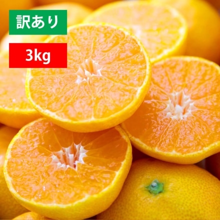 極早生 みかん 訳あり 3kg