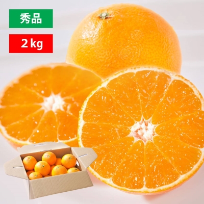 【11月下旬頃より順次出荷】愛媛限定栽培品種 まどんな 秀品2kg