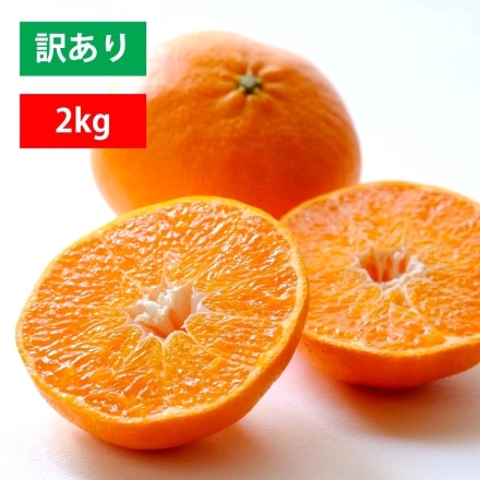 【1月下旬～2月上旬出荷】訳あり 愛媛産 甘平 2kg