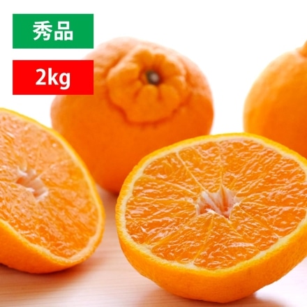 愛媛産 不知火 しらぬい 秀品 2kg