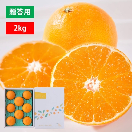 【11月下旬頃より順次出荷】愛媛限定栽培品種 まどんな 贈答箱入り（6個～8個）