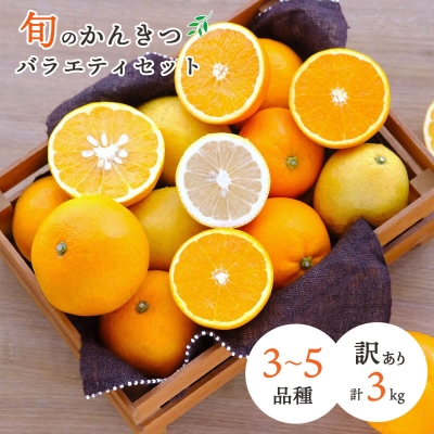愛媛産 旬のかんきつ 詰め合わせセット 訳あり3kg