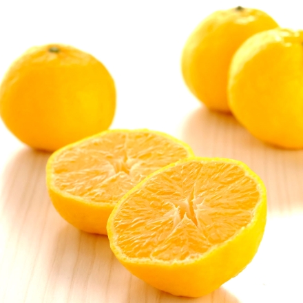 【数量限定】幻のかんきつ 媛小春 2.5kg