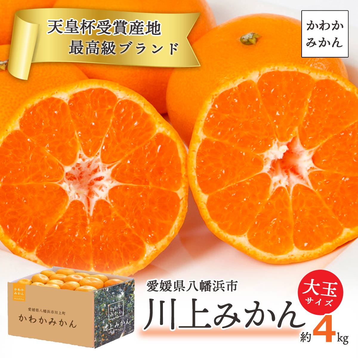 【2025年11月上旬頃より順次発送】 訳あり 天皇杯受賞産地 川上みかん 大玉4kg