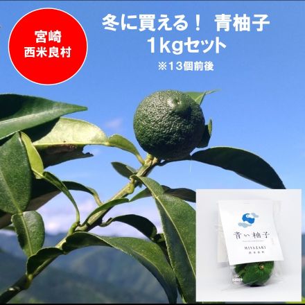 訳あり 宮崎県西米良村「青い柚子」1kgセット