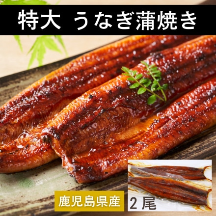 鹿児島県産 特大 うなぎ 蒲焼 2尾