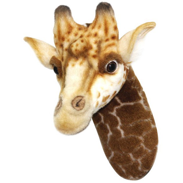 ハンサ ハンティングトロフィ キリン W30cm × H35cm × D34cm