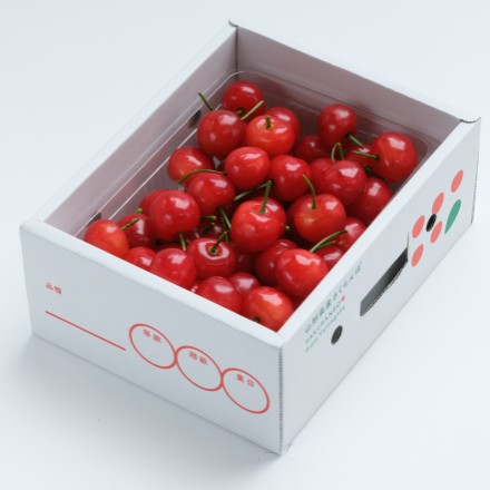 【6月中旬以降順次発送】 さくらんぼ 佐藤錦 秀品 Lサイズ以上 約500g バラパック 山形県産