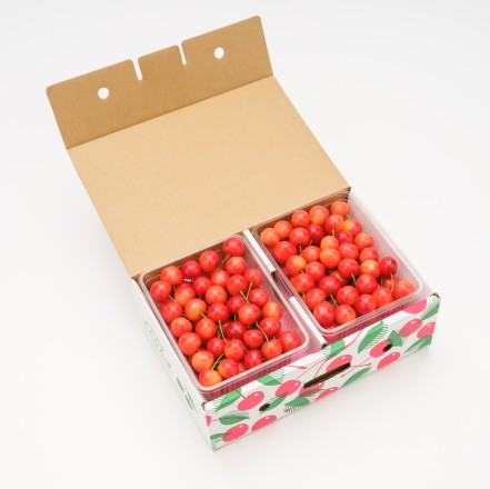 【6月中旬以降順次発送】 さくらんぼ 佐藤錦 秀品 Lサイズ以上 約500g*2パック 山形県産