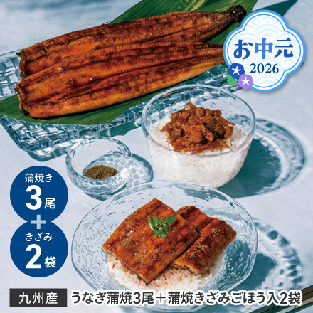 お中元 2026 九州産うなぎ蒲焼3尾＋蒲焼きざみごぼう入2袋 1602-025