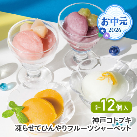 お中元 2026 神戸コトブキ 凍らせてひんやりフルーツシャーベット 1609-017