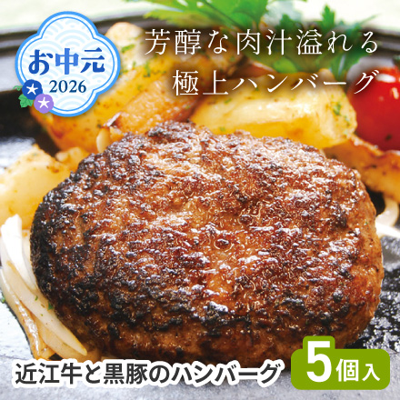 お中元 2026 近江牛と黒豚のハンバーグ 1643-021