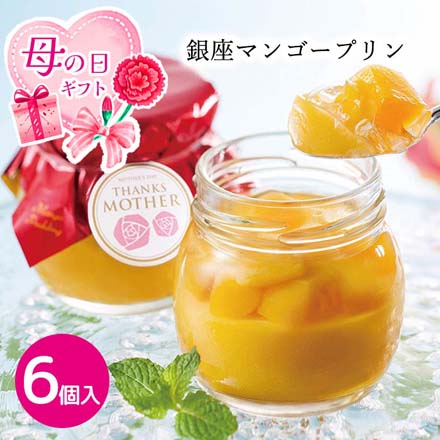 母の日 2026 母の日 銀座マンゴープリン 6個入 1851-123