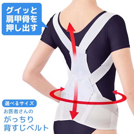 背すじベルト 姿勢サポート アルファックス M-L