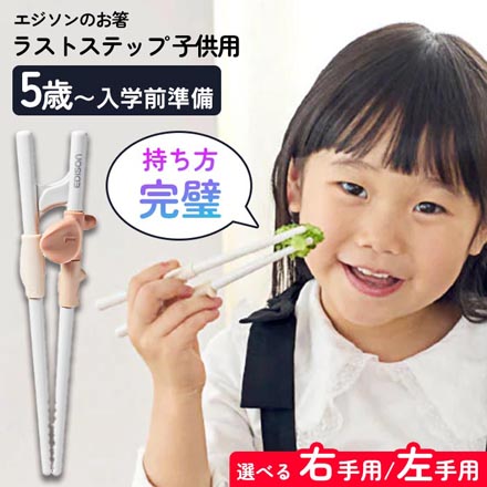 エジソンのお箸 ラストステップ 子ども用 トレーニング箸 右手