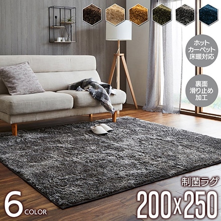 ルフォン 制菌ラグ 200×250cm 3985199 グレー