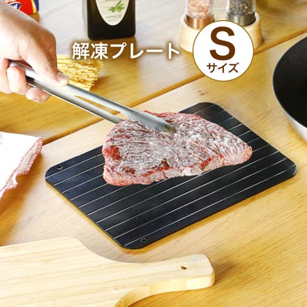 LPE 解凍プレート Sサイズ