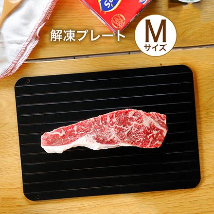 LPE 解凍プレート Mサイズ