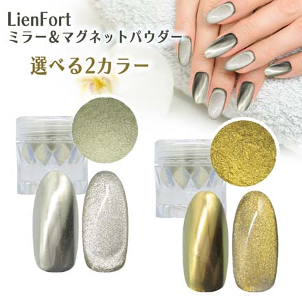 HNB LienFortミラー＆マグネットパウダー シルバー ジェルネイル D204