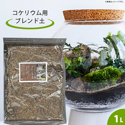 コケリウム用 ブレンド土