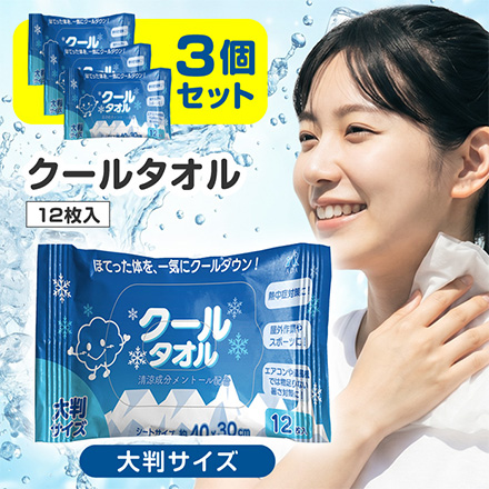 汗拭きシート クールタオル 大判サイズ 12枚入 3個