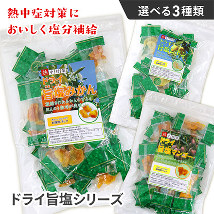 ドライフルーツ 乾燥フルーツ ドライ 旨塩レモン FDC