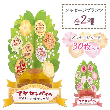 メッセージプランツ ガーベラオレンジ