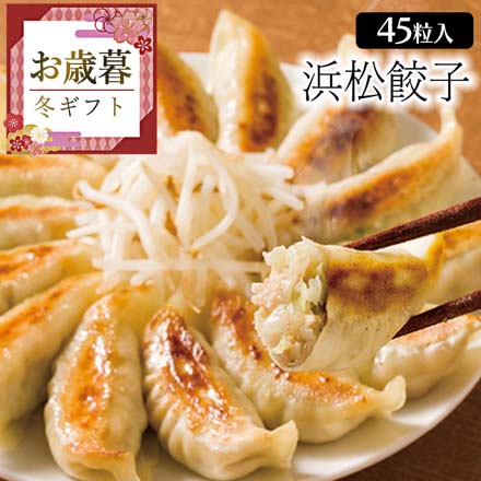 お歳暮 2025 浜松餃子 9808-039