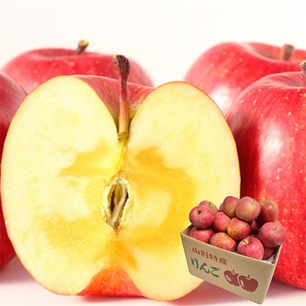 訳あり 山形県産 サンふじりんご 3kg 小玉 東北ECグローバル