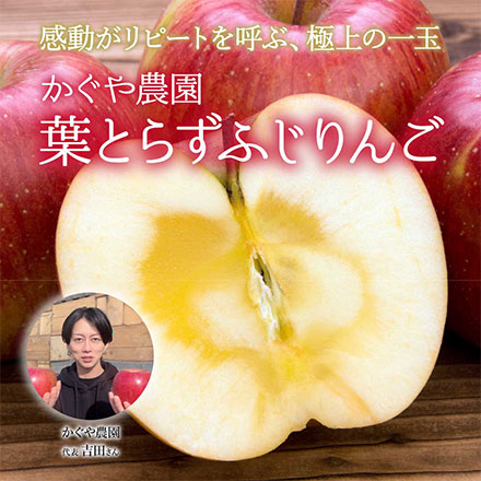 青森県産 かぐや農園の葉とらずふじりんご 家庭用 3kg 東北ECグローバル 佐川急便