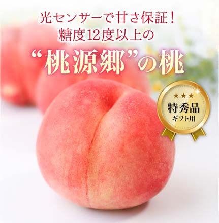 福島県産 桃 光センサー 特秀品 約 2.7kg 東北ECグローバル