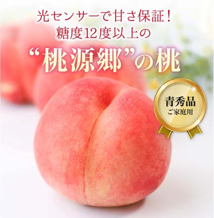 福島県産 桃 光センサー 訳あり 約 1.7kg 東北ECグローバル